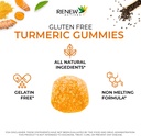 renew-actives-vegan-turmeric-130mg-per-2-2.jpg