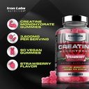 iron-labs-nutrition-creatine-monohydrate-5.jpg