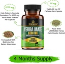 6000mg-extra-strength-yerba-mate-high-po-2.jpg