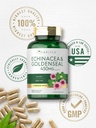 carlyle-echinacea-goldenseal-capsules-15-6.jpg