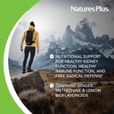 natures-plus-ageloss-kidney-support---90-3.jpg