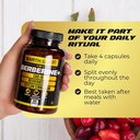 earth-elixir-4-in-1-berberine-supplement-5.jpg