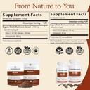 real-mushrooms-reishi-capsules-for-human-3.jpg