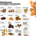 vita-globe-mushroom-complex-gummies-250m-4.jpg