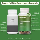 mushroom-supplement--10-mushrooms-blend--4.jpg