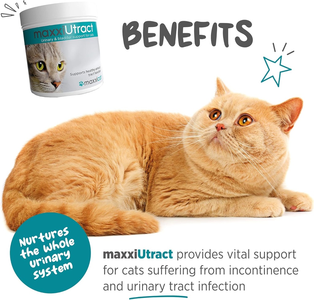 maxxipaws-maxxiutract-urinary-bladder-su-2.jpg
