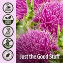 natures-answer-milk-thistle-seed-with-or-5.jpg