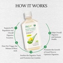 aloecure-organic-aloe-vera-juice---2-bot-4.jpg