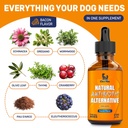dog-antibiotics-for-infections-allergies-3.jpg
