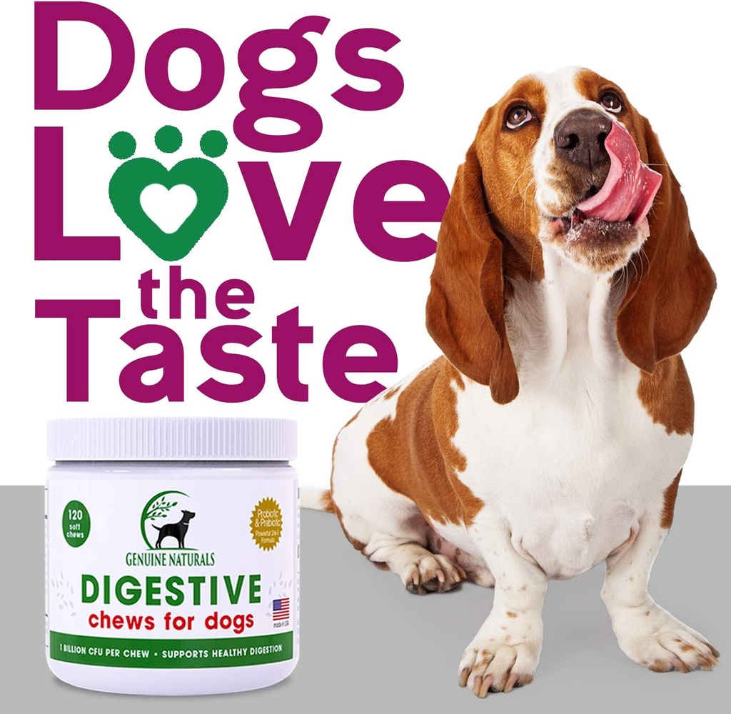 digestive-supplement-for-dogs---recommen-6.jpg