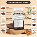 mushroom-gummies-10-blend-mushrooms-comp-2.jpg