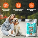 vitamatic-bovine-colostrum-for-dogs-and--6.jpg