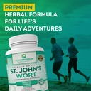 pure-premium-st-johns-wort-capsules-500m-6.jpg