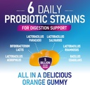 probiotic-gummies-5-billion-cfu---daily--3.jpg