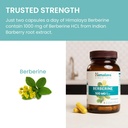 himalaya-berberine---herbal-supplement-f-6.jpg