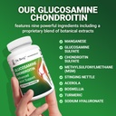 dr-berg-glucosamine-chondroitin-msm-turm-6.jpg