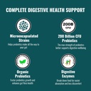upnourish-probiotics---200-billion-cfus--2.jpg
