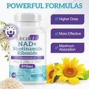 nad-supplement-alternative---liposomal-n-6.jpg