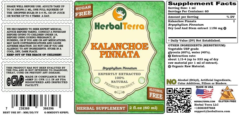 herbal-terra-llc-kalanchoe-pinnata-bryop-2.jpg