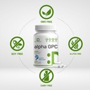 alpha-gpc-600mg-per-serving-240-capsules-3.jpg