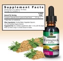 natures-answer-fenugreek-seed-with-organ-4.jpg