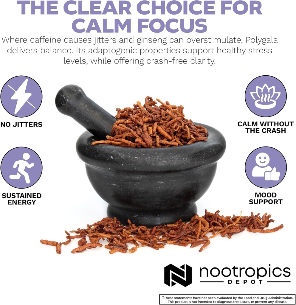 nootropics-depot-polygala-tenuifolia-cap-5.jpg