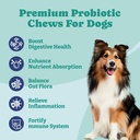 probiotics-for-dogs-dog-probiotics-and-p-2.jpg
