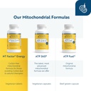 researched-nutritionals-nt-factor-energy-5.jpg