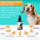 restorapet-1-pack-dog-cat-bacon-liquid-m-5.jpg