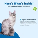 pet-wellbeing-dandelion-root-for-cats----4.jpg