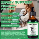 kidney-support-for-dogs-kidney-support-h-5.jpg
