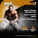 nutrarize-vigor-force-for-men-high-perfo-5.jpg
