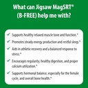 jigsaw-health-magsrt-b-free-premium-orga-6.jpg