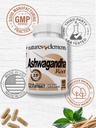 ashwagandha-root-121-extract-1000mg-per--6.jpg
