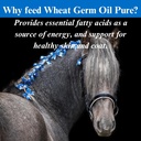 su-per-wheat-germ-oil-pure-for-horses----3.jpg