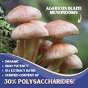 agaricus-blazei-organic-mushroom-extract-3.jpg
