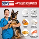 dog-hip-and-joint-supplement---dog-pain--2.jpg