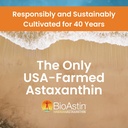 nutrex-hawaii-bioastin-hawaiian-astaxant-6.jpg