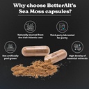 better-alt-seamoss-capsules--irish-sea-m-5.jpg