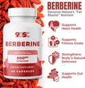 9dsc-berberine-supplement-800-mg---60-ca-2.jpg