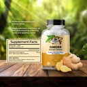 amazing-botanicals-ginger-root-extract-t-4.jpg