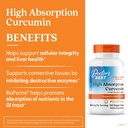 doctors-best-high-absorption-curcumin-fr-2.jpg