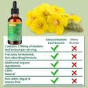 organic-mullein-drops-for-lung-cleanse-p-5.jpg