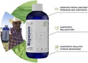 liquid-ionic-natural-magnesium-96-day-su-2.jpg
