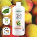 LR Lifetakt Aloe Vera Drinking Gel Peach Flavour Health Care Women Men Drink Every Day Natural Treatment Set of 3-1000 ml./33.3 fl.oz 2