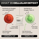 Pure MSM Powder | Organic Sulfur Powder for Skin, Hair, and Nails | Cellular Detox, Joint Health, Immune Boost, & Increased Energy | 99.9% Pure MSM Supplement | Made in the USA, 0g Sugar (64 Servings) 5