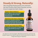 Rejuvica Health Balanced Femme - Menopause Support for Hot Flashes & Female Balance - Liquid Delivery for Better Absorption - Black Cohosh, Dong Quai, Vitex, Maca Root & More! 5