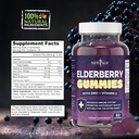 NEW AGE (2-Pack) Premium Elderberry Gummies for Adults Kids with Vitamin C, Zinc, Propolis - Sambucus Black Elderberry Gummy Extract - Gluten Free & Vegetarian - 120 Gummies 3