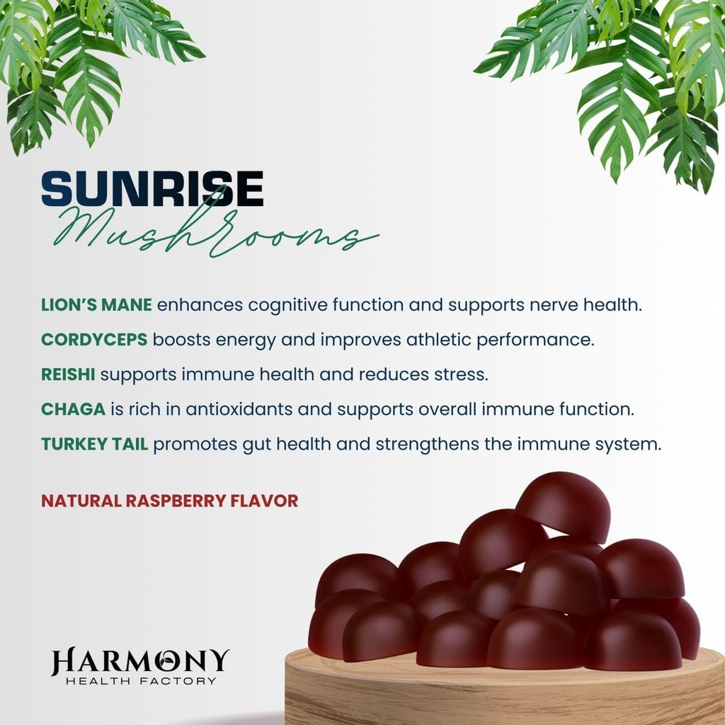 SUNRISE 10x Potency Mushroom Supplement Gummies for Energy, Mood and Immune Support with Organic Lion's Mane, Cordyceps, Reishi, Chaga and Turkey Tail Nootropic Adaptogenic Raspberry Flavor 60 Count 4