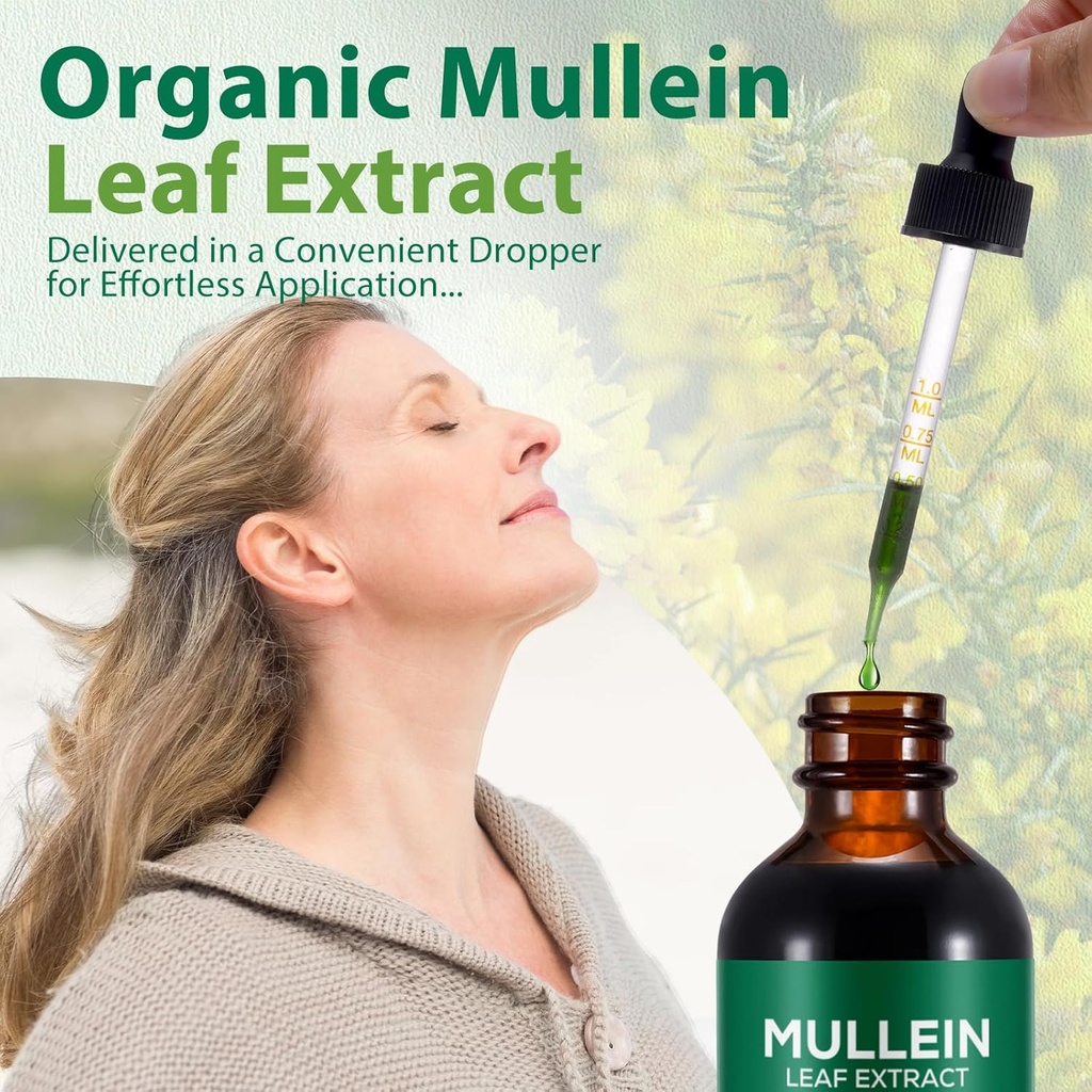 Mullein Drops for Lungs, Mullein Leaf Extract for Lungs, Natural Mullein Herbal Supplements, Mullein Chlorophyll Drops for Lungs, Lung Cleanse for Smokers - 2.02 fl oz 6